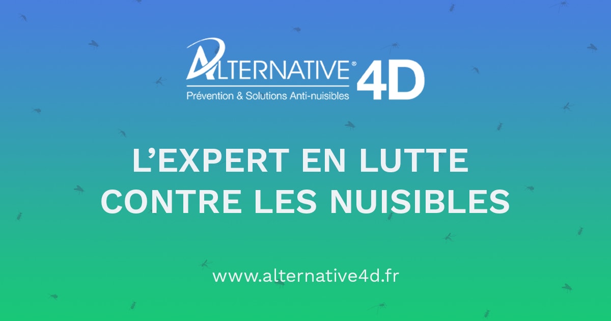 (c) Alternative4d.fr